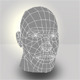 Human Male Head Low Poly - 3DOcean Item for Sale