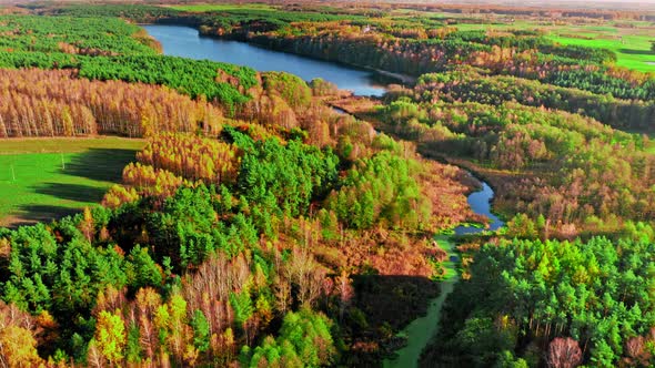 Forest and lake in autumn. Aerial view wildlife in Poland.