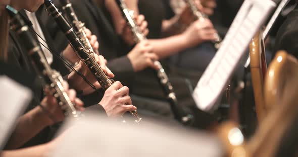 Femalne Musician Playing Clarinet During Concert