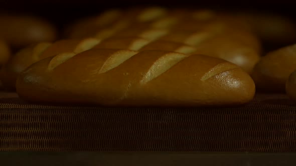 Bread in the Furnace. Output Bread From the Oven.