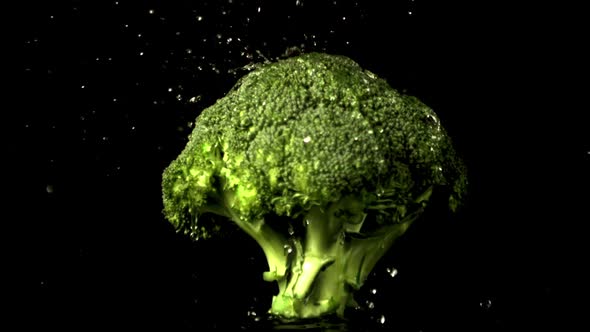 Super Slow Motion on Broccoli Drop Water Droplets
