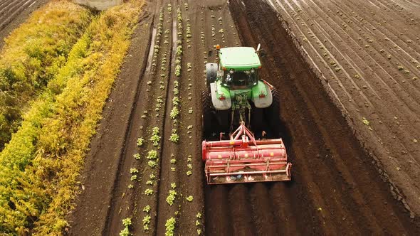 Tractor Cultivates the Land in the Field