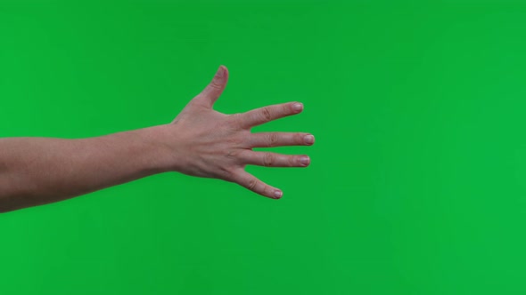 Female Hand Show Five Fingers On Green Screen Background