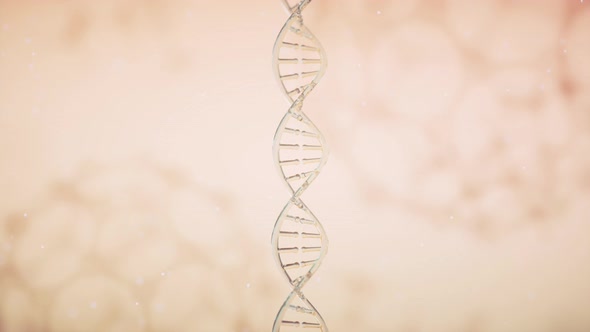 DNA genomes structure with yellow background