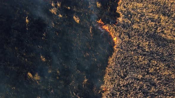 Aerial View Fire Extinguishing