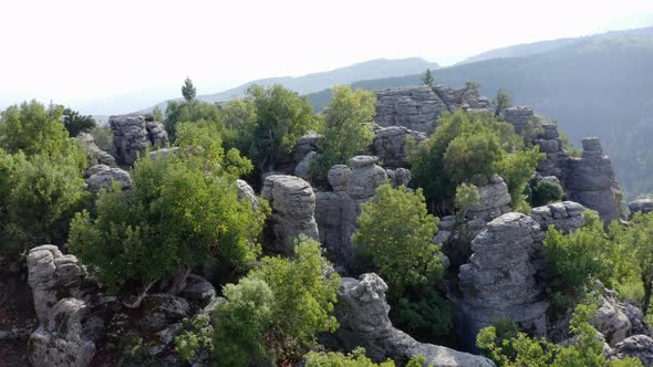 Granite Rock Formations and Green Vegetation