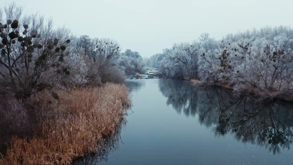 Forest and river wild landscape. Aerial view of forest with river during winter