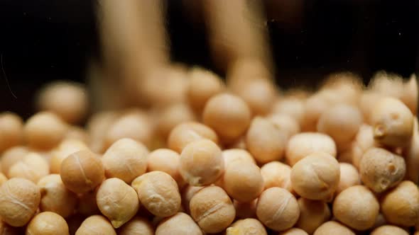 Closeup of Falling Down Chickpeas Into Glass Jar on Black Background