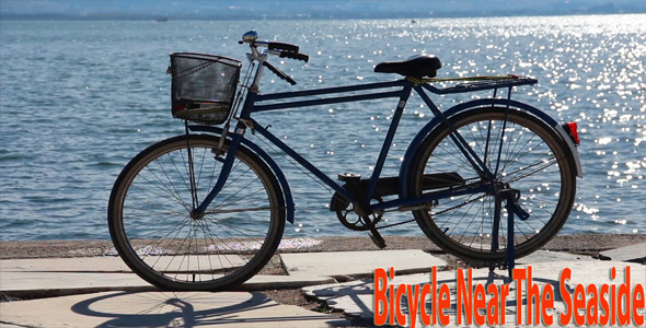 Bicycle Near The Seaside