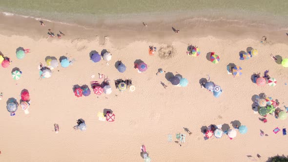 Top Shot of Crowded Summer Beach with Colorful Umbrellas