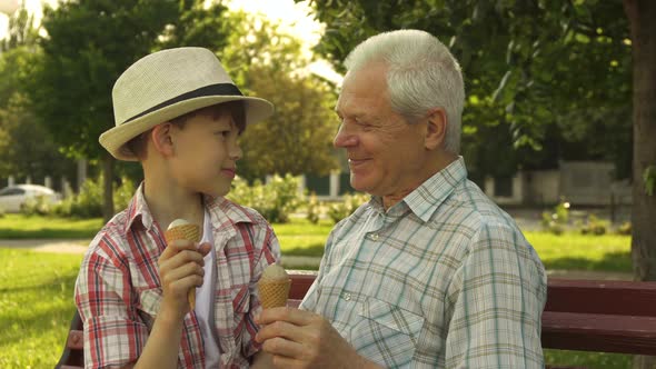 Senior Man and His Grandson Eat Ice Cream on the Bench