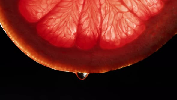 Juicy Grapefruit Slice on Black Background