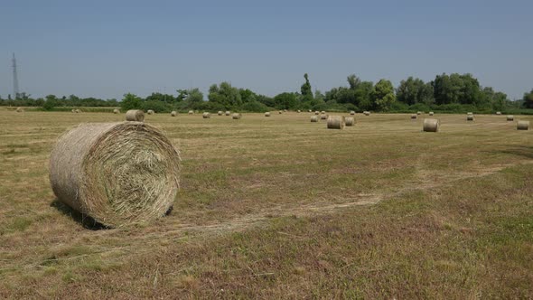 Straw Bale 15