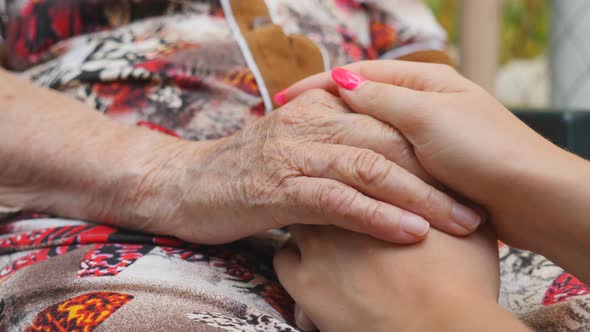 Young Female Arms with Beautiful Manicure Comforting an Elderly Pair of Old Woman Hands