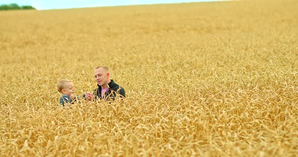 Fatherly Friendship with His Son Father and Little Son are Sitting in an Endless Wheat Field and