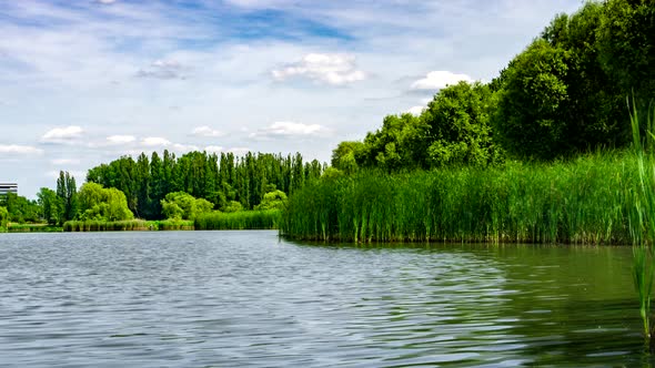 Green Urban Park