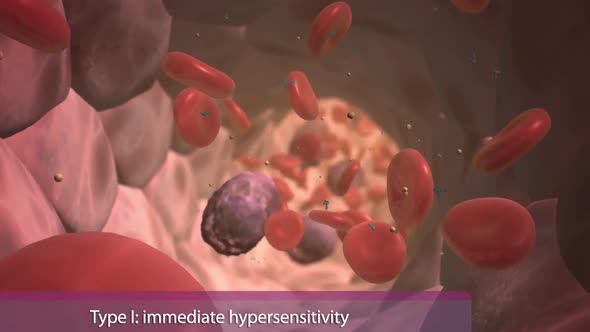 The importance of antigens and antibodies in the immune system