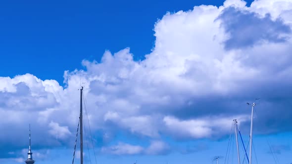 Auckland harbor New Zealand