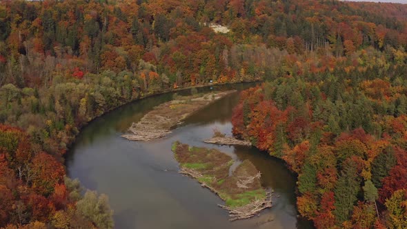 Wonderful autumn colors: Aerial of a river with little islands leading through a colorful forest at