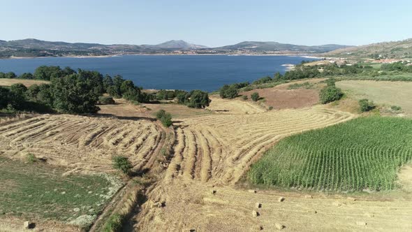 Agricultural Industry