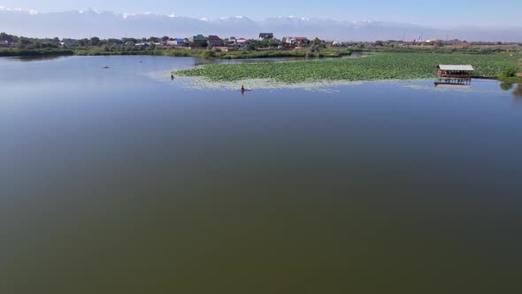 Relax on the SUP Boards Among the Lotuses in Pond