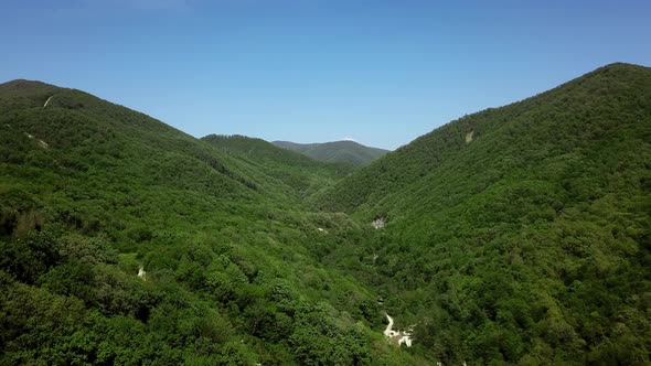 Aerial Green Pine Forest in Caucasian Mountains, Russia