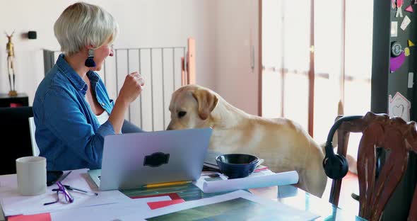 Woman playing with dog