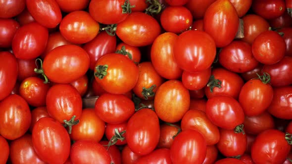 Many Red Tomatoes Closeup Panning on a  Background in the Store for Buyer.