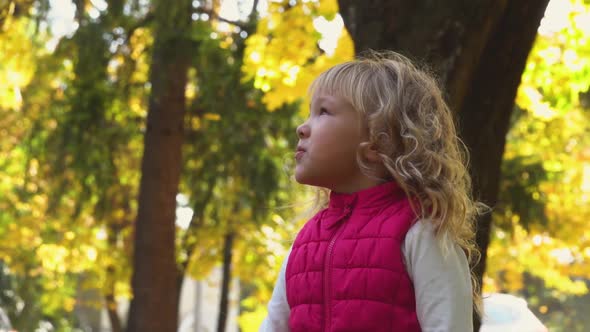 Portrait of a Surprised Little Girl