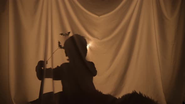 Silhouette of Little Boy Telling Spooky Stories Using Shadow Play and Paper Bats