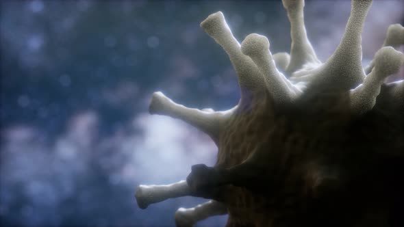 Virtual Representation Macro Model of Novel Coronavirus COVID-2019 alt