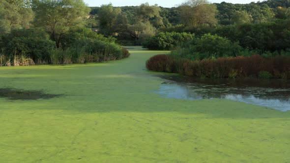 Flight Over A Beautiful Lake Dotted With Green Vegetation 18