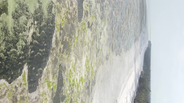 Vertical Video of Low Tide in the Ocean Near the Coast of Zanzibar Tanzania Aerial View