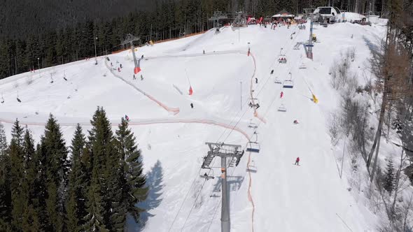 Aerial View of Ski Slopes with Skiers Go Down Under Ski Lifts on Ski Resort