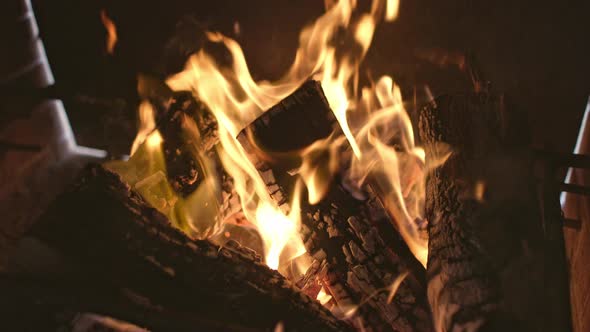 Large Brazier with Blazing Fire and Burning Logs