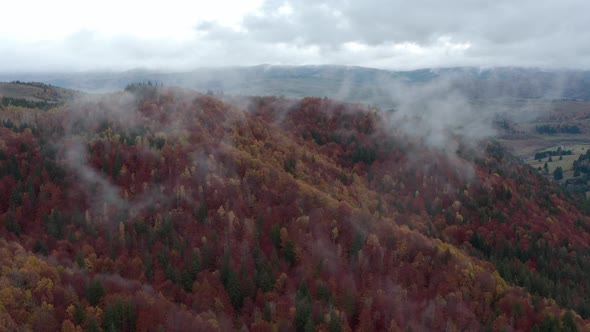 Drone rising up through clouds over autumn forest hillside