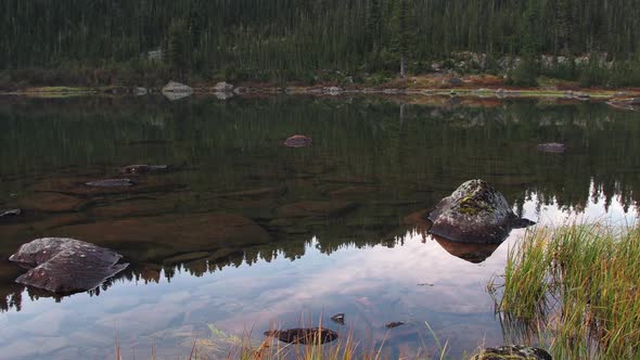 Lake Shore with Trees Reflecting in Mirror Water