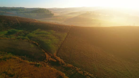 4K : Aerial view of farm during sunrise in Thailand. Harvest season.