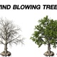 Wind blowing Tree - VideoHive Item for Sale