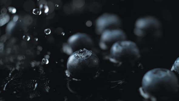 Water splash on blueberry. Slow Motion.