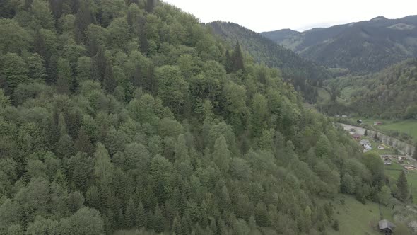 Landscape of the Carpathian Mountains. Slow Motion. Ukraine. Aerial. Gray, Flat