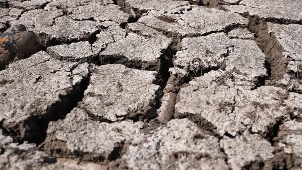 Dried Up Lake 31