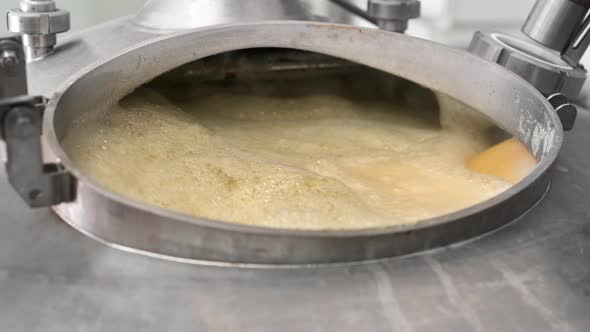 Beer Brew Tank with Boiling Malt