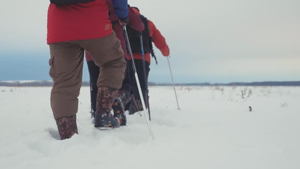 Back View of Three Tourist Hikers with Trekking Poles, a Backpack and Snowshoes. Happy Hikers Group
