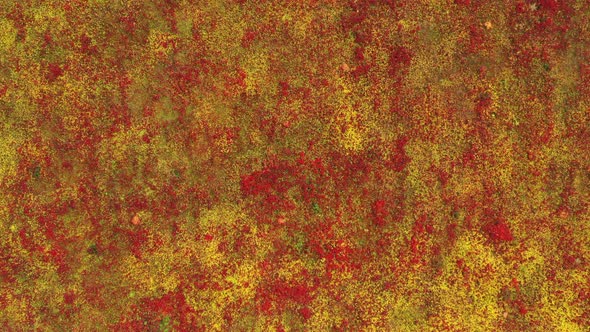 Red and Yellow Grass Background