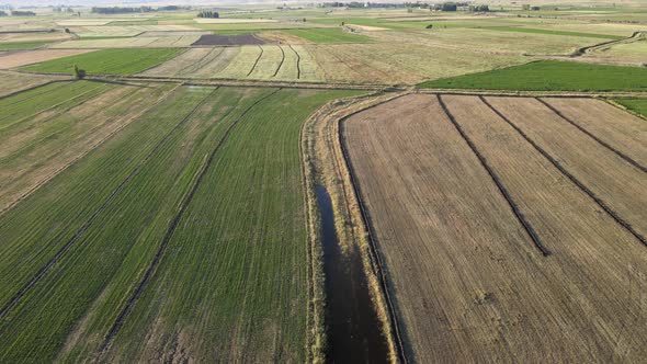 aerial drone view farmland