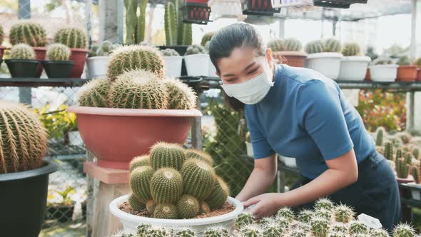 Young researcher girl wearing mask and studying different types of cacti at the nursery. Slow motion
