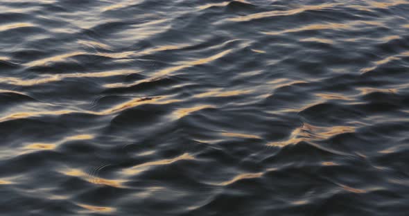 Steady shot of danubian water with sunrise light reflections