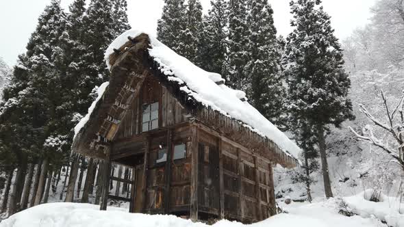 Snow Falling With Cabin In Forest