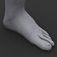 Human Male Foot Low Poly - 3DOcean Item for Sale